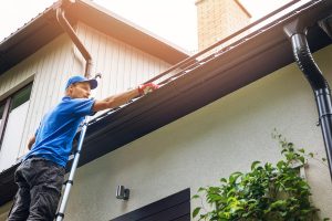 Professional Rain Gutters Cleaning