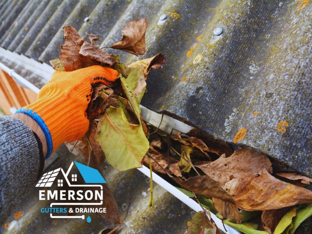 gutter cleaning